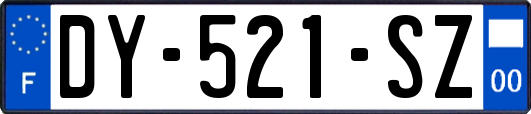 DY-521-SZ