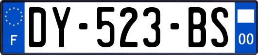 DY-523-BS