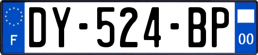 DY-524-BP