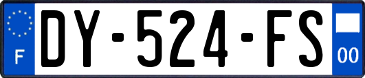 DY-524-FS