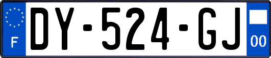 DY-524-GJ