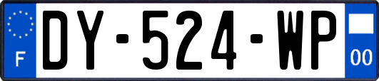 DY-524-WP