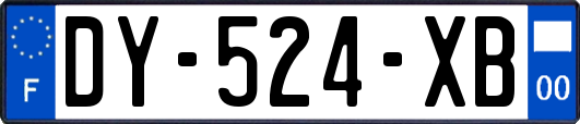 DY-524-XB