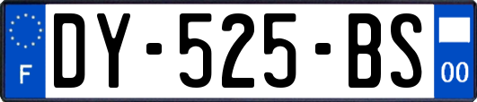 DY-525-BS