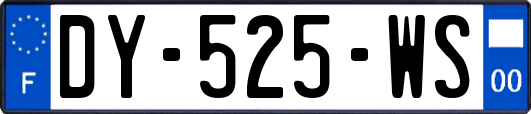 DY-525-WS