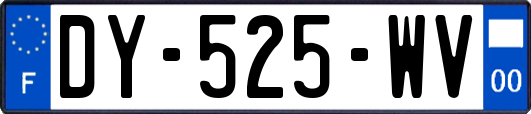 DY-525-WV