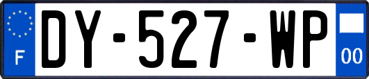 DY-527-WP