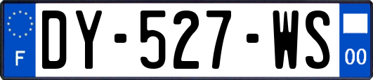 DY-527-WS