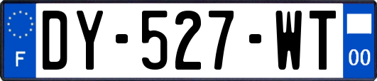 DY-527-WT