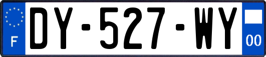 DY-527-WY