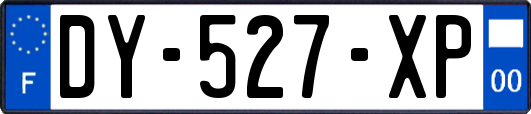 DY-527-XP