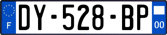 DY-528-BP