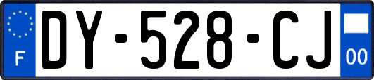 DY-528-CJ