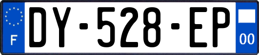 DY-528-EP