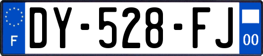 DY-528-FJ