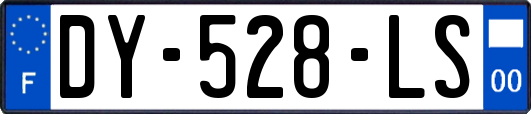 DY-528-LS