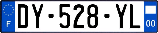 DY-528-YL