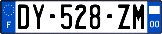 DY-528-ZM