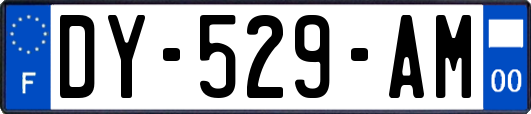 DY-529-AM
