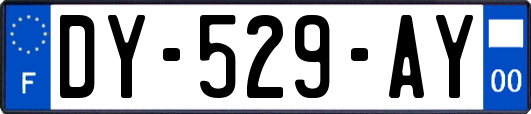 DY-529-AY