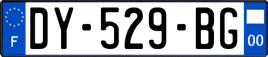 DY-529-BG