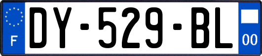 DY-529-BL