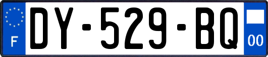 DY-529-BQ