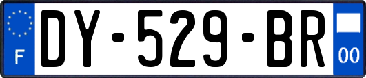 DY-529-BR