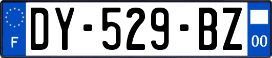 DY-529-BZ