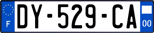 DY-529-CA