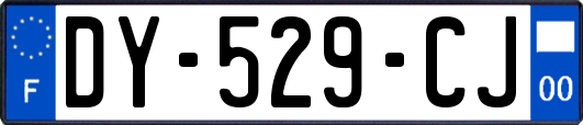 DY-529-CJ