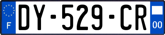 DY-529-CR