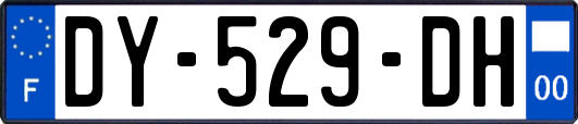 DY-529-DH