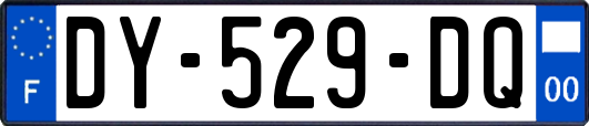 DY-529-DQ