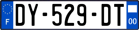 DY-529-DT