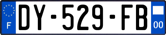 DY-529-FB