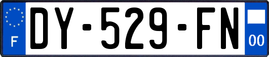 DY-529-FN