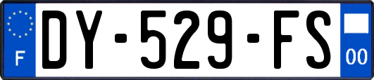DY-529-FS