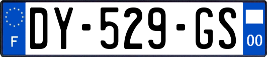 DY-529-GS