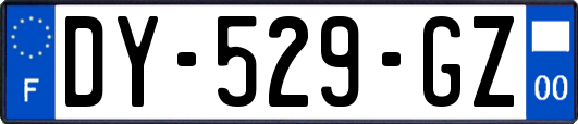 DY-529-GZ