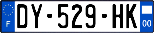 DY-529-HK