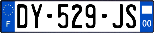 DY-529-JS