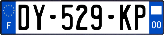 DY-529-KP