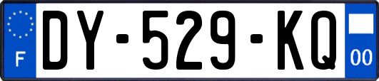 DY-529-KQ