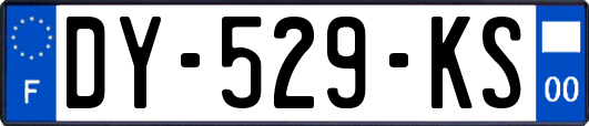 DY-529-KS