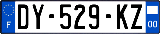 DY-529-KZ