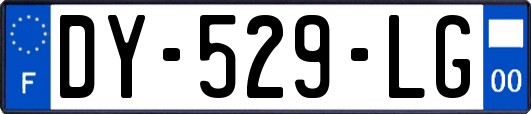 DY-529-LG