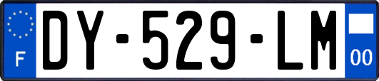DY-529-LM