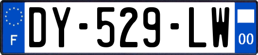 DY-529-LW