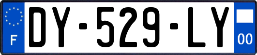 DY-529-LY